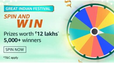 Great indian festival spin and win