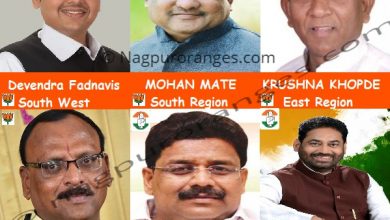 Nagpur Election Result 2019