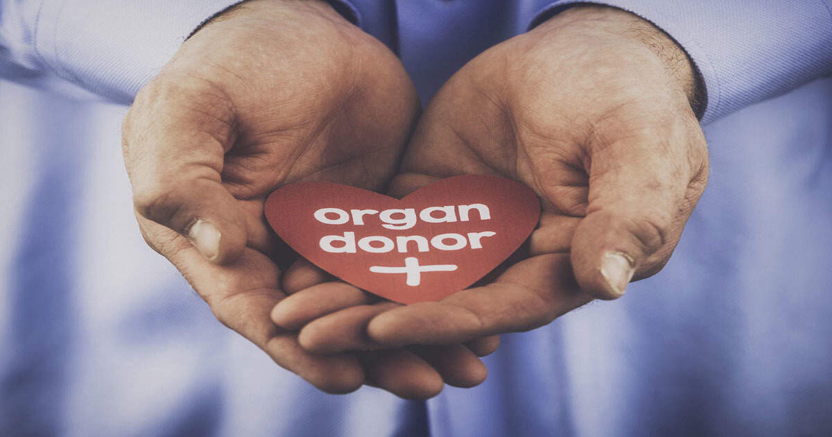 relatives donated organs