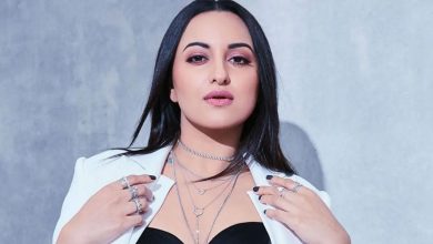 Cyber cell tracks down and arrests Sonakshi's 27 year troll